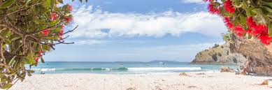 Image result for new chums beach