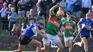 Image result for Erin`s Own Gaelic Athletic & Social Club