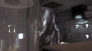 Image result for Alien: Isolation