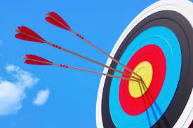Image result for Blue Arrows Archery Club