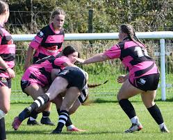Image result for Lowca Amateur Rugby League Football Club