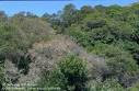 California Forestry news - Agriculture and Natural Resources Blogs