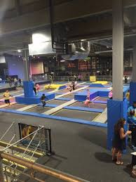 Image result for Octopushy (Croydon Area)