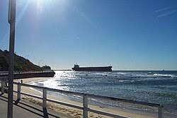 Image result for Pasha bulker