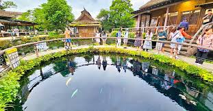 Image result for 水野X68仁義