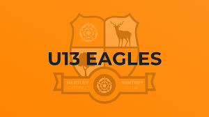 Image result for Milford Pumas Football Club