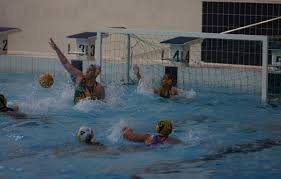 Image result for Leicester waterpolo club