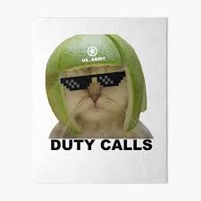 Image result for limecat