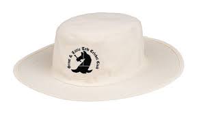 Image result for Great & Little Tew Cricket Club