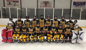 Image result for Bradford Ice Skating Club