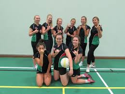 Image result for Plymouth Civil Service Netball Club