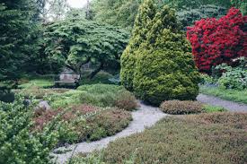Image result for Arboretum Trompenburg