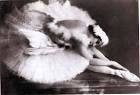 Andros on Ballet - Anna Pavlova