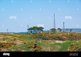 Image result for Garleton Football Club