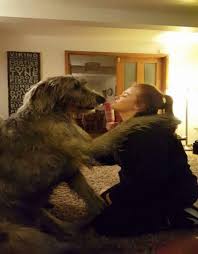 Image result for Swadlincote Rifle & Pistol Club