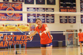 Image result for Westwood Badminton Club