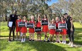 Image result for Lawn Netball Club