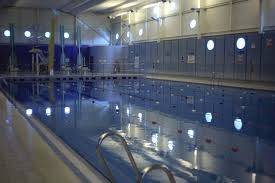 Image result for Stevenage Swimming Club