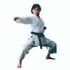 Image result for Sandokai Karate