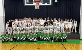 Image result for Blackpool Lights Ladies Basketball Club