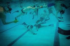 Image result for St Albans Underwater Hockey Club