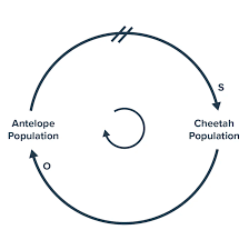 Image result for system diagram
