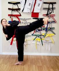 Image result for Walker's American Martial Arts