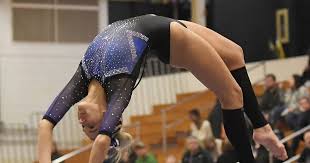 Image result for Hinckley Gymnastics Club