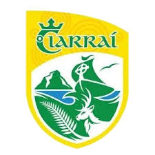 Image result for Causeway Hurling Club