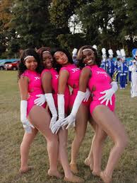 Image result for Platinum Majorettes