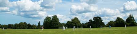 Image result for Selsted Cricket Club