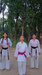 Image result for Su-Ha-Ri-Wado Karate School