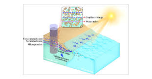 Attēlu rezultāti vaicājumam “Conardia compacta macro”