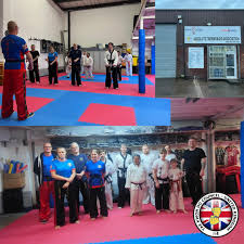 Image result for Absolute tae kwon do association