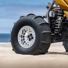 Image result for sand paddle tyre