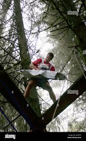Image result for extreme ironing
