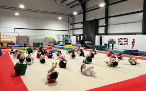 Image result for North Devon Display Gymnastics Club