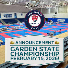 Image result for COURT FIELDS karate Academy