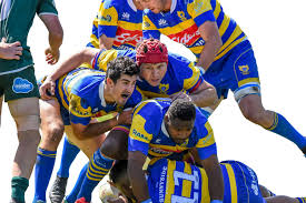 Image result for Hamilton Rugby Football Club