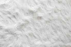 Image result for white rabbit skin texture