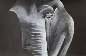 Image result for sad elephant