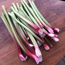 Attēlu rezultāti vaicājumam “Rheum rhabarbarum”