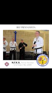 Image result for Northern Freestyle Karate Association