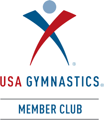 Image result for The Academy Of Gymnastics Portishead