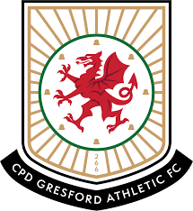 Image result for Mayford Athletic Football Club