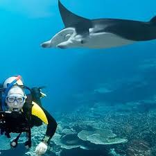 Image result for Manta Divers Sub-Aqua Club