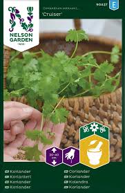 Image result for Koriander