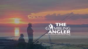 Image result for Bristol Channel Sea Fishing