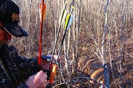 Image result for Orion Bowhunters