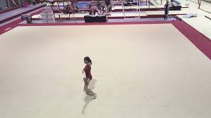 Image result for Sudbury Gymnastics Club